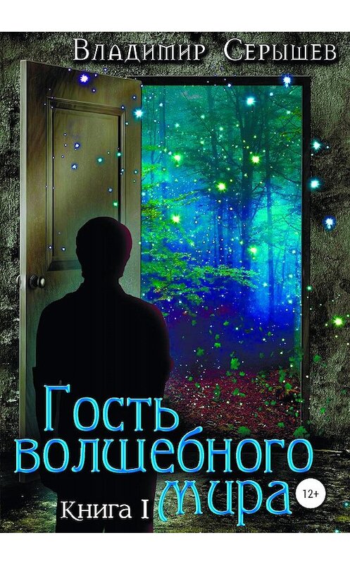 Обложка книги «Гость волшебного мира. Книга первая. Незнакомец» автора Владимира Серышева издание 2019 года.