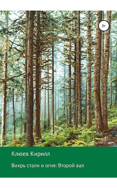 Обложка книги «Вихрь стали и огня: Второй вал» автора Кирилла Клюева издание 2020 года.