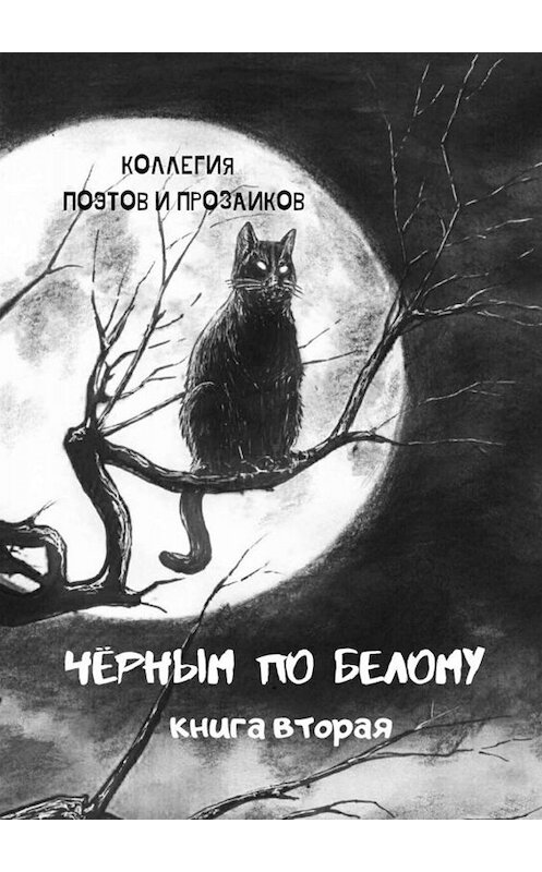 Обложка книги «Черным по белому. Книга вторая» автора Эльвиры Шабаевы. ISBN 9785449844781.