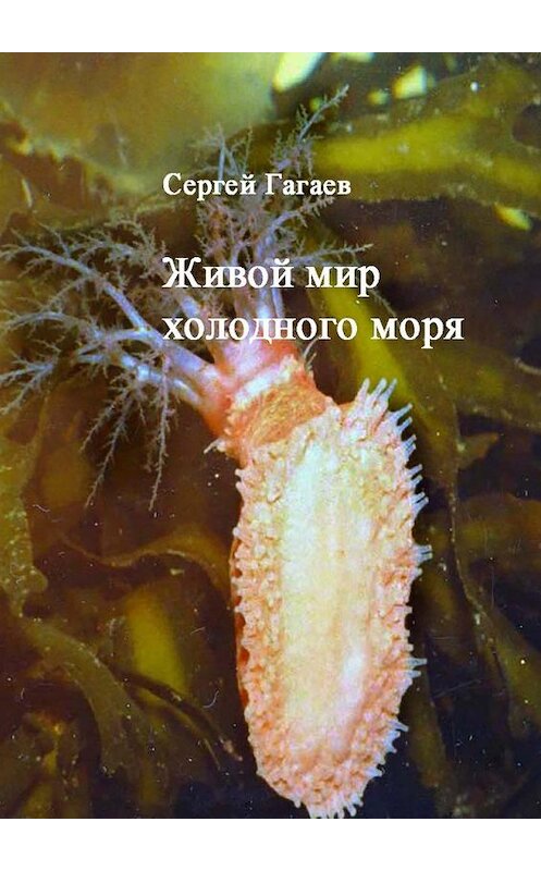 Обложка книги «Живой мир холодного моря» автора Сергея Гагаева. ISBN 9785449064219.