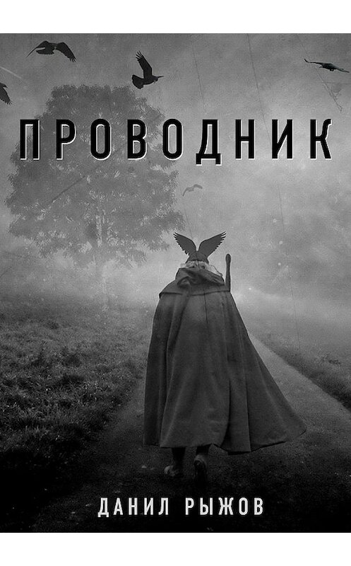 Обложка книги «Проводник» автора Данила Рыжова издание 2018 года.