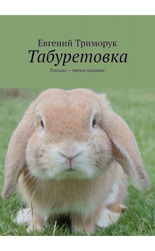 Обложка книги «Табуретовка. Рассказ. Третье издание» автора Евгеного Триморука. ISBN 9785449352927.