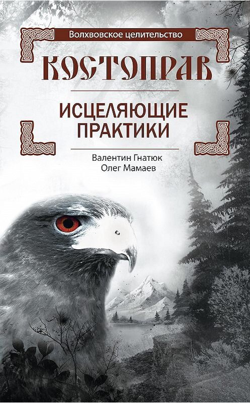 Обложка книги «Костоправ. Исцеляющие практики» автора  издание 2018 года. ISBN 9785227068699.