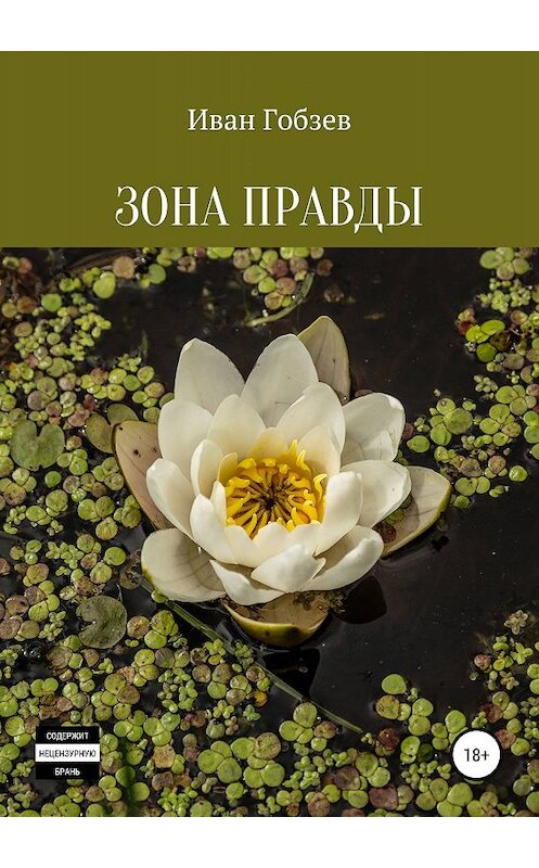 Обложка книги «Зона Правды» автора Ивана Гобзева издание 2019 года.