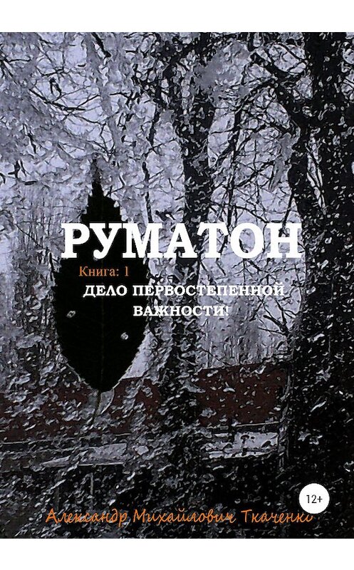 Обложка книги «Руматон. Дело первостепенной важности!» автора Александр Ткаченко издание 2020 года.