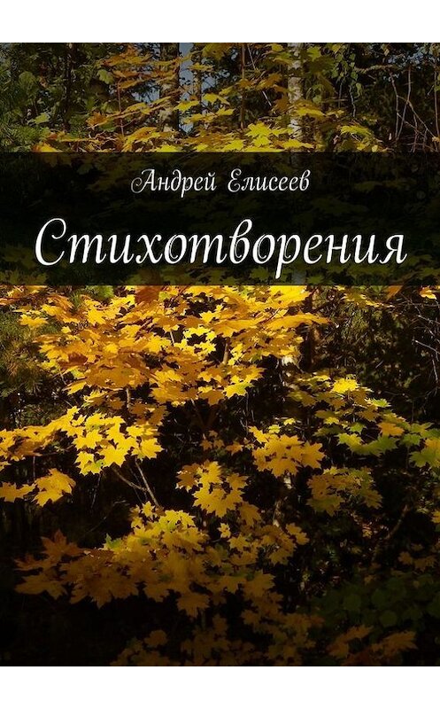 Обложка книги «Стихотворения» автора Андрейа Елисеева. ISBN 9785447425104.