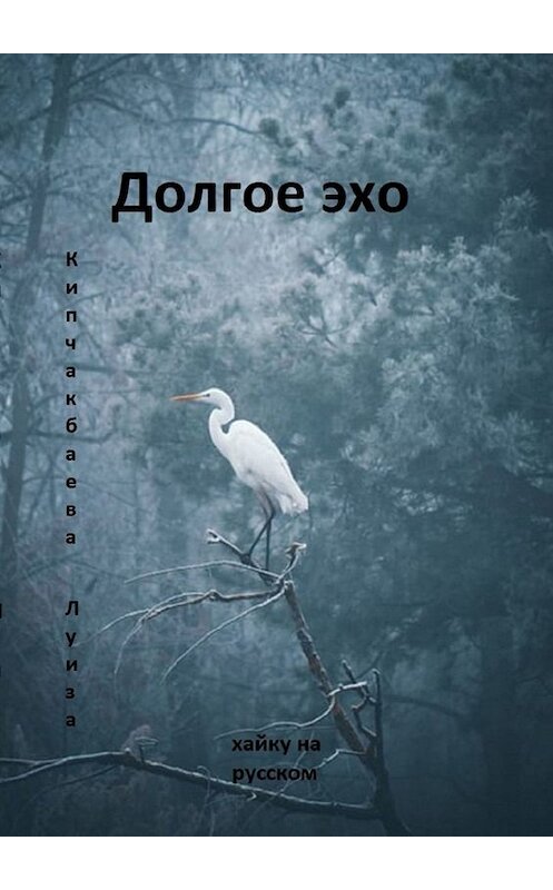 Обложка книги «Долгое эхо» автора Луизы Кипчакбаевы. ISBN 9785005032393.