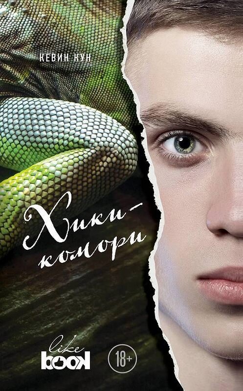 Обложка книги «Хикикомори» автора Кевина Куна издание 2017 года. ISBN 9785699946075.