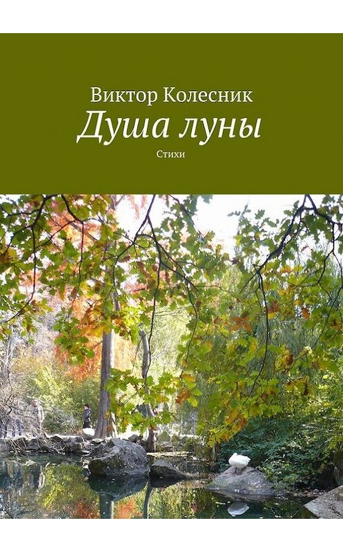 Обложка книги «Душа луны» автора Виктора Колесника. ISBN 9785447448929.