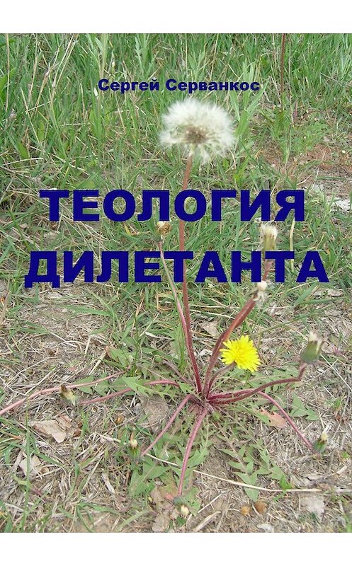 Обложка книги «Теология дилетанта» автора Сергея Серванкоса издание 2018 года.