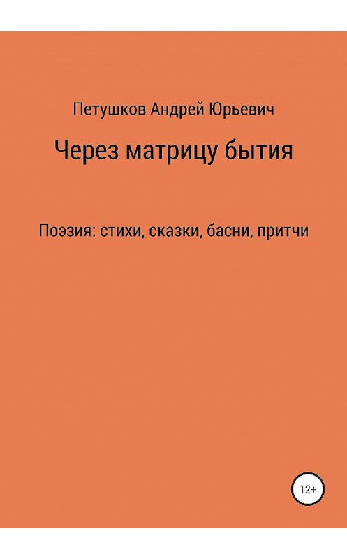 Обложка книги «Через матрицу бытия» автора Андрея Петушкова издание 2020 года.