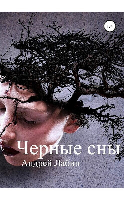 Обложка книги «Черные сны» автора Андрея Лабина издание 2019 года.