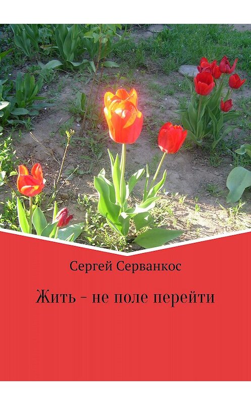 Обложка книги «Жить – не поле перейти. Сборник» автора Сергея Серванкоса издание 2018 года. ISBN 9785532126060.