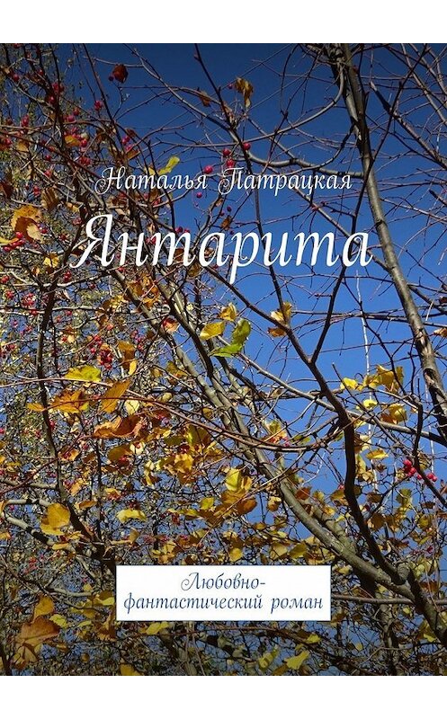 Обложка книги «Янтарита. Любовно-фантастический роман» автора Натальи Патрацкая. ISBN 9785449340436.