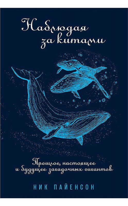 Обложка книги «Наблюдая за китами» автора Ника Пайенсона издание 2020 года. ISBN 9785001392491.