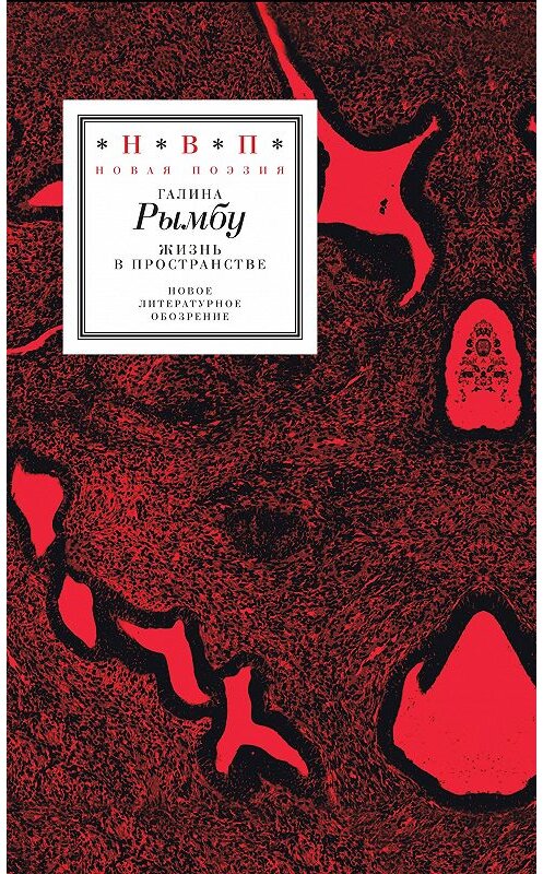 Обложка книги «Жизнь в пространстве (сборник)» автора Галиной Рымбу издание 2018 года. ISBN 9785444810156.