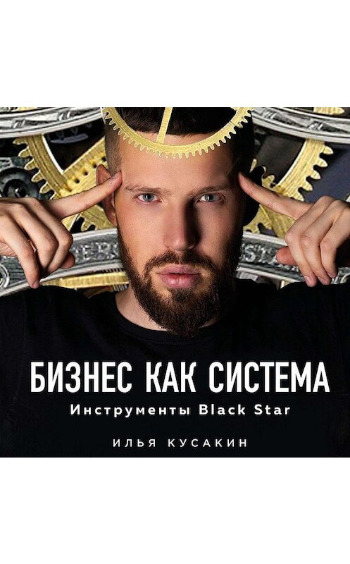 Обложка аудиокниги «Бизнес как система» автора Ильи Кусакина.