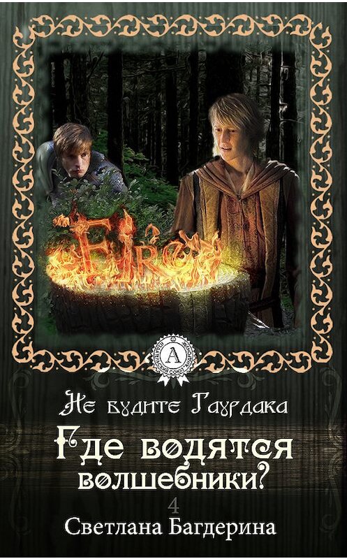 Обложка книги «Где водятся волшебники?» автора Светланы Багдерины. ISBN 9781387746897.