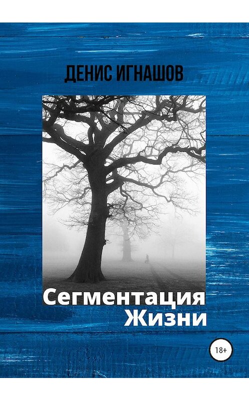 Обложка книги «Сегментация Жизни» автора Дениса Игнашова издание 2020 года.