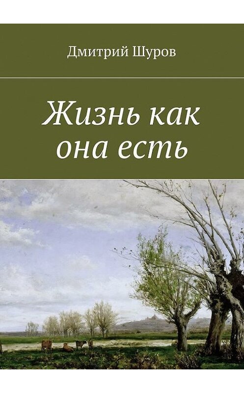 Обложка книги «Жизнь как она есть» автора Дмитрия Шурова. ISBN 9785447475499.