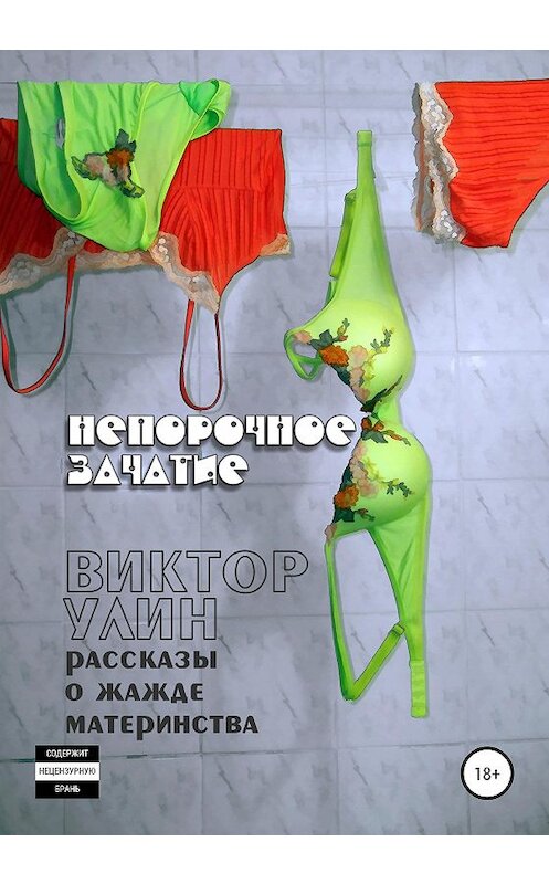 Обложка книги «Непорочное зачатие» автора Виктора Улина издание 2020 года. ISBN 9785532074040.