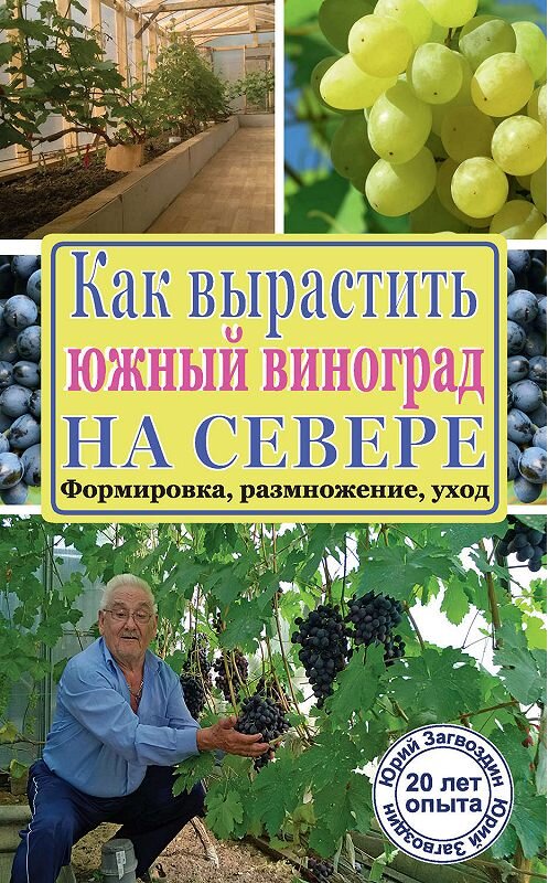 Обложка книги «Как вырастить южный виноград на севере» автора Юрия Загвоздина издание 2014 года. ISBN 9785170906642.