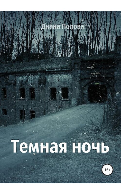 Обложка книги «Тёмная ночь» автора Дианы Поповы издание 2020 года.