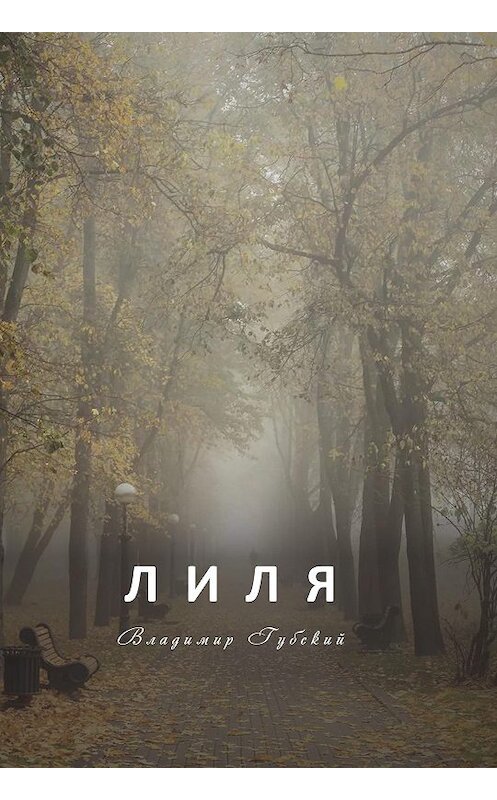Обложка книги «Лиля» автора Владимира Губския. ISBN 9785001502869.