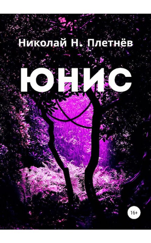 Обложка книги «Юнис» автора Николая Плетнёва издание 2020 года.