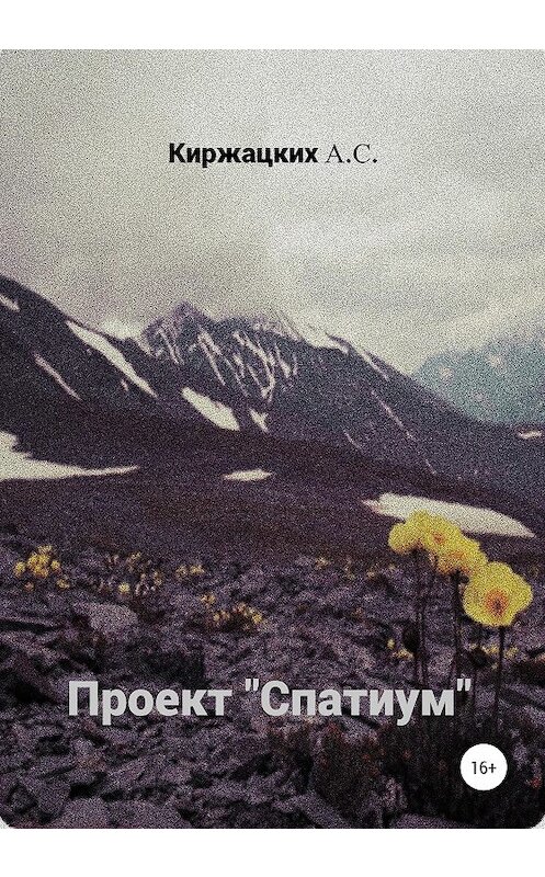 Обложка книги «Проект «Спатиум»» автора Александра Киржацкиха издание 2020 года.