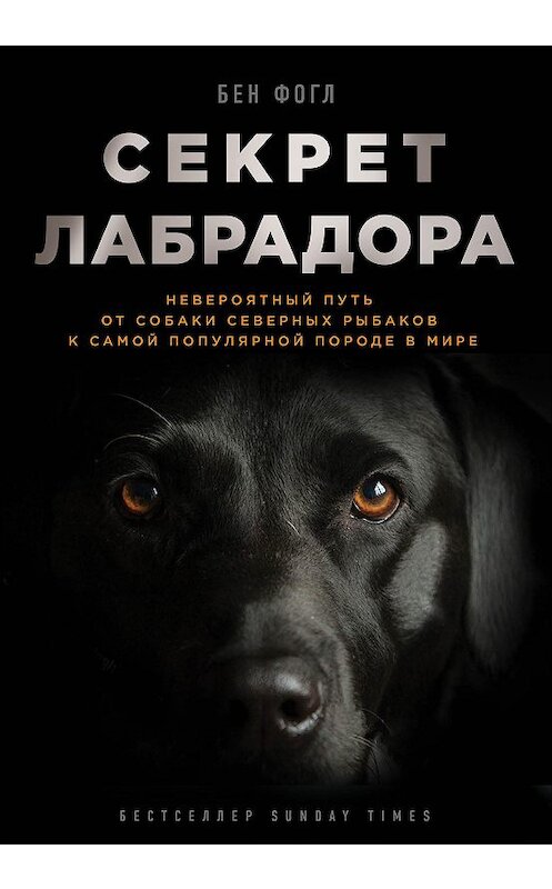 Обложка книги «Секрет лабрадора. Невероятный путь от собаки северных рыбаков к самой популярной породе в мире» автора Бена Фогла издание 2018 года. ISBN 9785699931750.