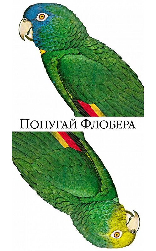 Обложка книги «Попугай Флобера» автора Джулиана Барнса издание 2017 года. ISBN 9785389138568.