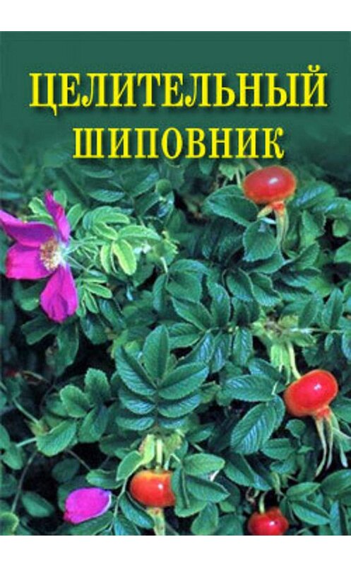 Обложка книги «Целительный шиповник» автора Ивана Дубровина.
