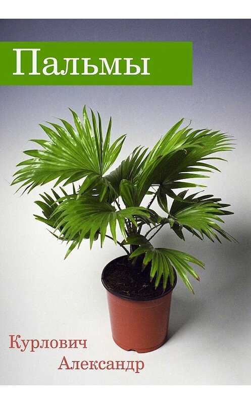 Обложка книги «Пальмы» автора Александра Курловича издание 2017 года. ISBN 5941070470.