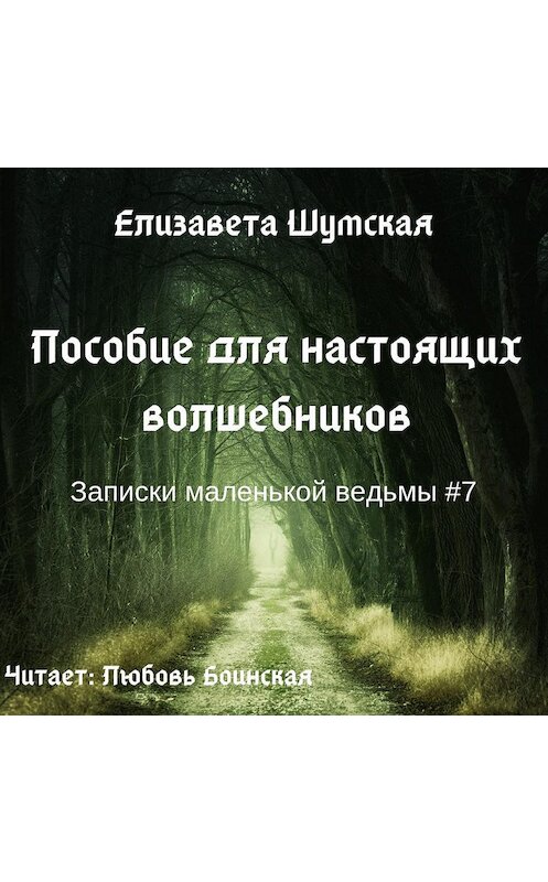 Обложка аудиокниги «Пособие для настоящих волшебников» автора Елизавети Шумская.