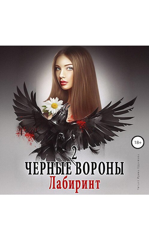 Обложка аудиокниги «Черные вороны 2. Лабиринт» автора Ульяны Соболевы.