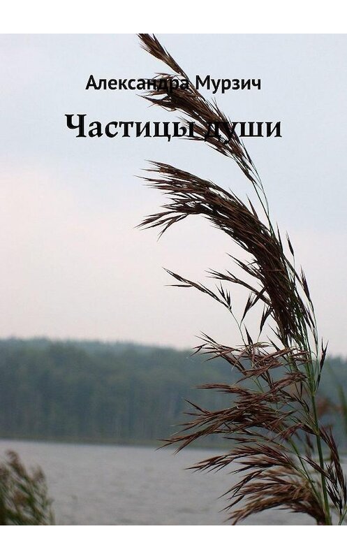 Обложка книги «Частицы души» автора Александры Мурзича. ISBN 9785005064271.