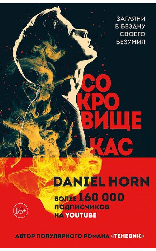 Обложка книги «Сокровище Кастеров» автора Дэниела Хорна издание 2020 года. ISBN 9785041119409.