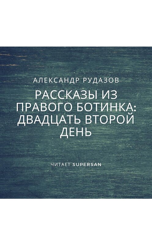 Обложка аудиокниги «Двадцать второй день» автора Александра Рудазова.