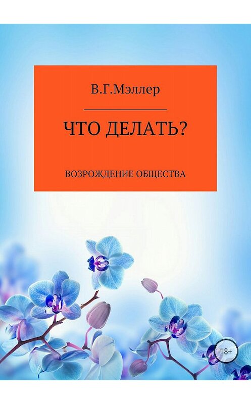 Обложка книги «Что делать?» автора Виктора Мэллера издание 2018 года. ISBN 9785532122512.