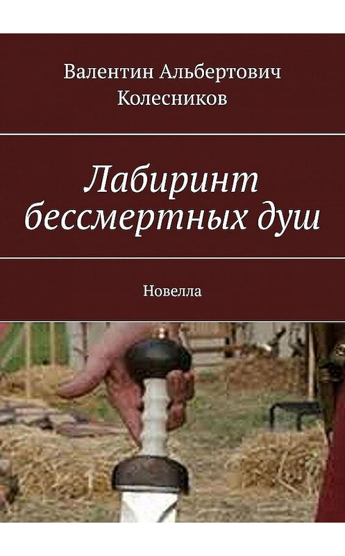 Обложка книги «Лабиринт бессмертных душ. Новелла» автора Валентина Колесникова. ISBN 9785005123282.