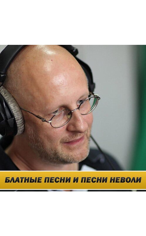 Обложка аудиокниги «Интервью на Радио Балтика 29 апреля 2011 года» автора Дмитрия Пучкова.