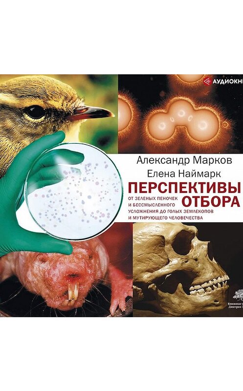 Обложка аудиокниги «Перспективы отбора» автора .