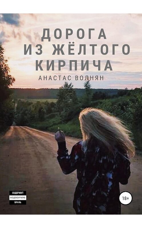 Обложка книги «Дорога из жёлтого кирпича» автора Анастаса Волняна издание 2019 года. ISBN 9785532092563.