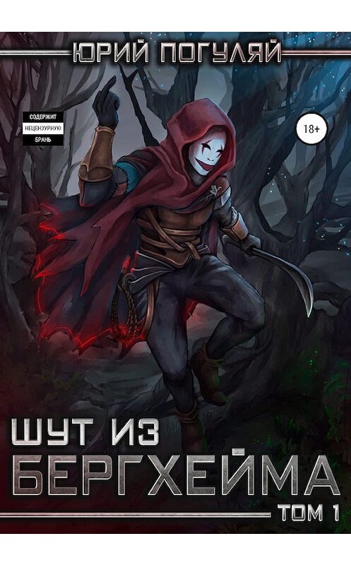 Обложка книги «Шут из Бергхейма» автора Юрия Погуляя издание 2019 года.