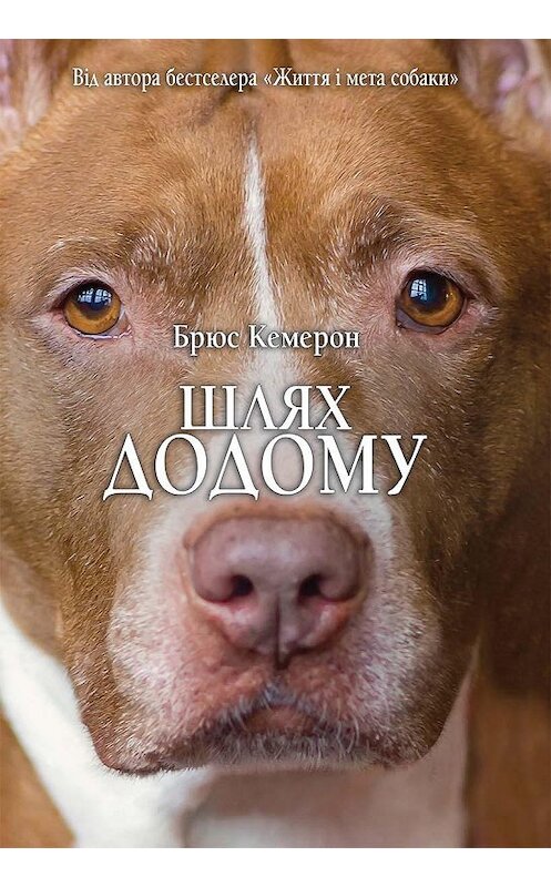 Обложка книги «Шлях додому» автора Брюса Кэмерона издание 2020 года. ISBN 9786171275195.