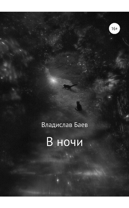 Обложка книги «В ночи» автора Владислава Баева издание 2020 года.