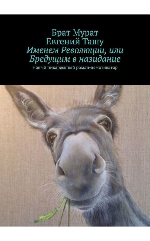 Обложка книги «Именем Революции, или Бредущим в назидание. Новый пикарескный роман-демотиватор» автора . ISBN 9785449387370.