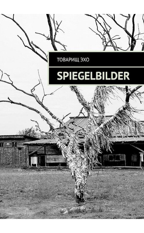 Обложка книги «Spiegelbilder» автора Товарищ Эхо. ISBN 9785448328077.