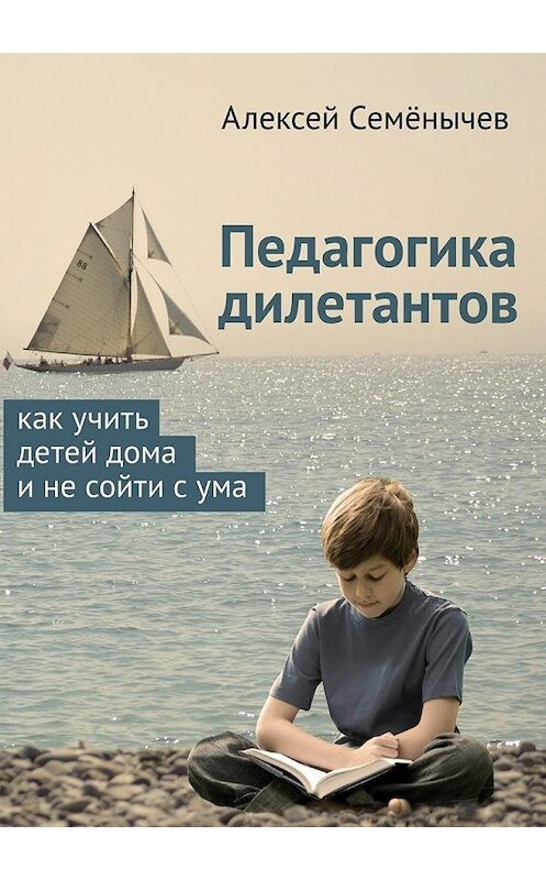 Обложка книги «Педагогика дилетантов. Как учить детей дома и не сойти с ума» автора Алексея Семёнычева. ISBN 9785448321771.